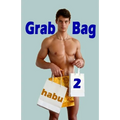 Grab Bag 2: An Unthemed Gay Erotica Anthology - Paperback