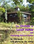 The Orchids of Lovell Hollow - Paperback