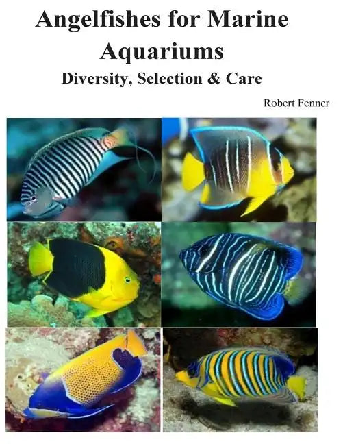 Angelfishes for Marine Aquariums: Diversity, Selection & Care - Paperback