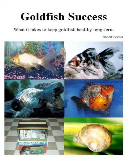 Goldfish Success: What it takes to keep goldfish healthy long-term - Paperback
