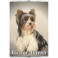 Biewer Terrier: Dog breed overview and guide - Paperback