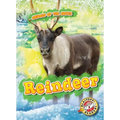 Reindeer - Library Binding