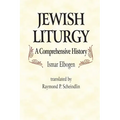 Jewish Liturgy a Comprehensive Histor - Hardcover