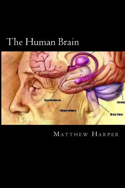 The Human Brain: A Fascinating Book Containing Human Brain Facts, Trivia, Images & Memory Recall Quiz: Suitable for Adults & Children - Paperback