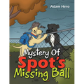 Mystery Of Spot's Missing Ball - Paperback
