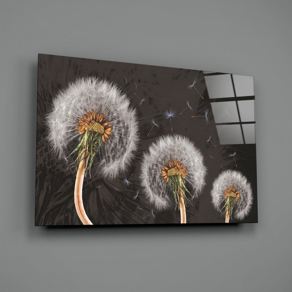 Dandelions Glass Wall Art
