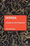 Derrida: A Guide for the Perplexed - Paperback