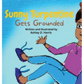 Sunny Turpentine Gets Grounded - Hardcover