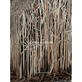 Doris Salcedo - Hardcover