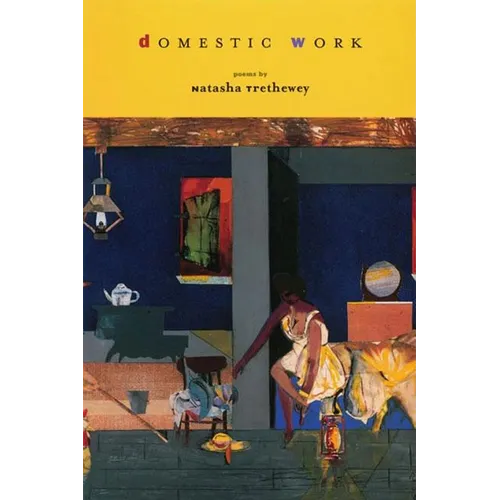 Domestic Work - Paperback