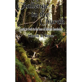 Challenge to the Church - Paperback