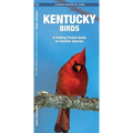 Kentucky Birds: A Folding Pocket Guide to Familiar Species - Paperback