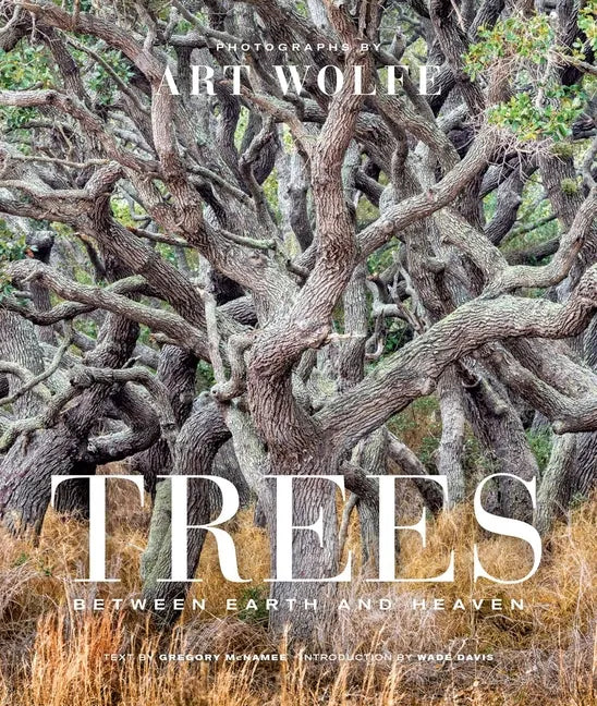 Trees (Gift Edition): Between Earth and Heaven - Hardcover