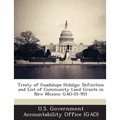 Treaty of Guadalupe Hidalgo: Definition and List of Community Land Grants in New Mexico: Gao-01-951 - Paperback