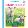 Baby Sheep - Library Binding