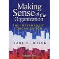 Making Sense of the Organization, Volume 2 - Paperback