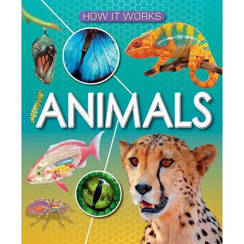 Animals - Paperback