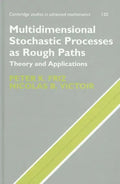 Multidimensional Stochastic Processes as Rough Paths - Hardcover