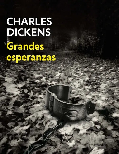 Grandes Esperanzas (Spanish Edition) - Paperback