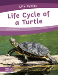 Life Cycle of a Turtle - Paperback