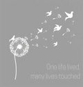 Condolence book to sign (Hardback cover) - Hardcover
