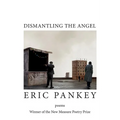 Dismantling the Angel - Paperback