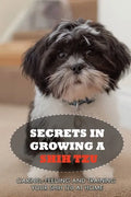 Secrets In Growing A Shih Tzu: Caring, Feeding And Training Your Shih Tzu At Home: What You Will Need To Train Your Shih Tzu - Paperback