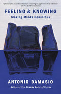 Feeling & Knowing: Making Minds Conscious - Paperback