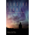 Elusive Light: A Journey Through Grief - Paperback