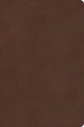 CSB Rainbow Study Bible, Brown Leathertouch, Indexed - Imitation Leather