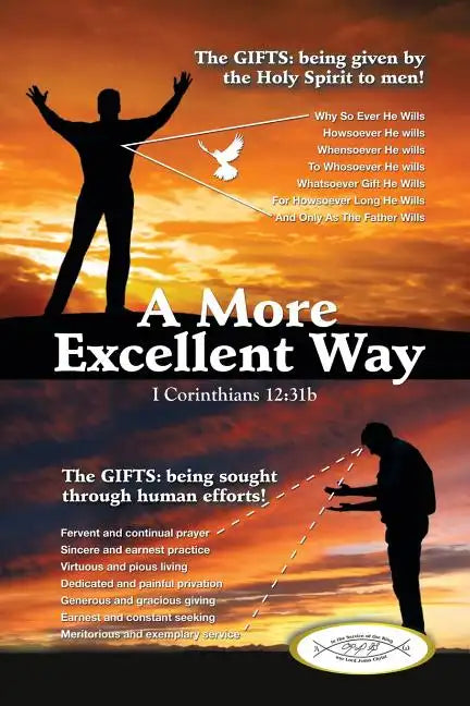 A More Excellent Way - Paperback