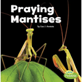 Praying Mantises - Paperback