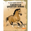 American Quarter Horse - Hardcover