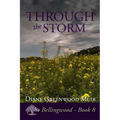 Through the Storm - Paperback