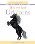 The Secret Land of Unicorns: Book One - Paperback