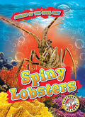 Spiny Lobsters - Library Binding