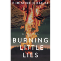 Burning Little Lies - Paperback