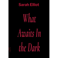 What Awaits In the Dark - Paperback