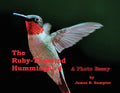 The Ruby-throated Hummingbird: A Photo Essay - Paperback