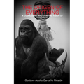The Origen of Everything - Paperback