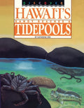Discover Hawaii's Sandy Beaches and Tidepools - Paperback