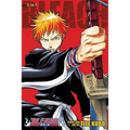 Bleach (3-In-1 Edition), Vol. 1: Includes Vols. 1, 2 & 3 - Paperback
