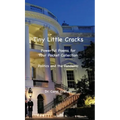 Tiny Little Cracks: Powerful Poems for Your Pocket Collection: Politics and the Pandemic - Hardcover