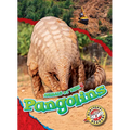 Pangolins - Library Binding