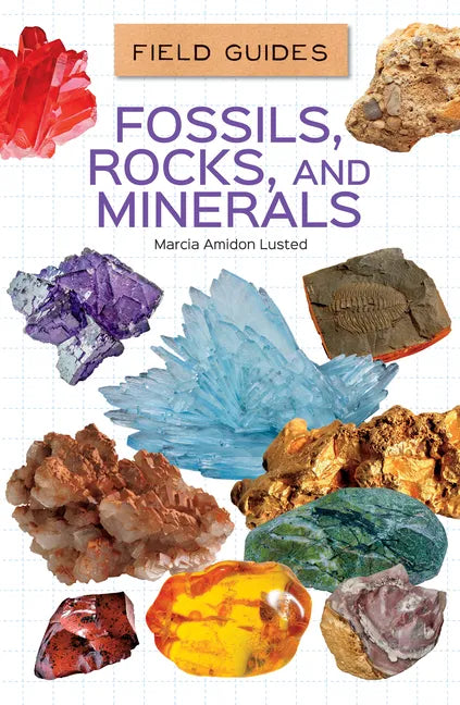 Fossils, Rocks, and Minerals - Library Binding