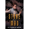 Stone Mad: A Karen Memory Adventure - Paperback