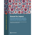 Braced for Impact: Reforming Kazakhstan's National Financial Holding for Development Effectiveness and Market Creation - Paperback