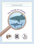 The Scoop on Sharks - Paperback