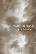Mostly the Wind - Paperback