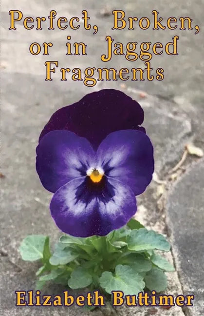 Perfect, Broken or in Jagged Fragments - Paperback